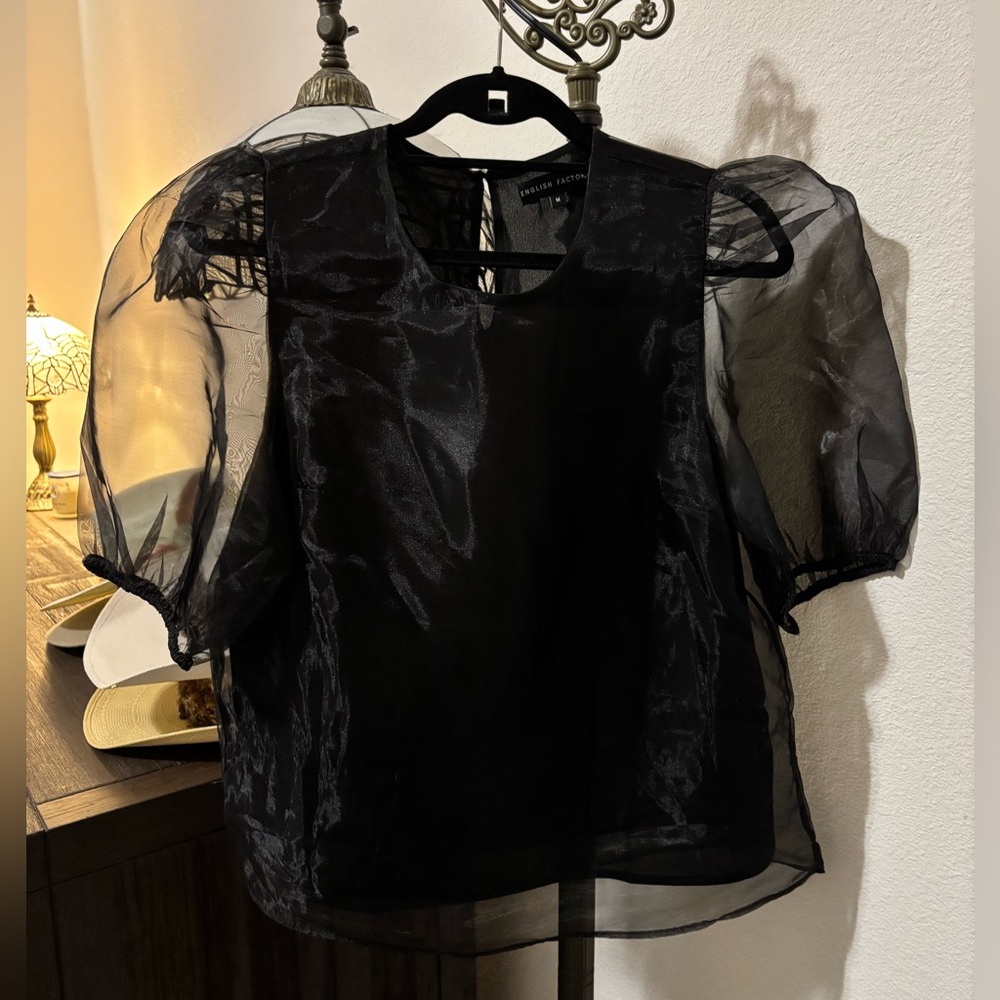 Elegant Black Sheer Puff Sleeve Top